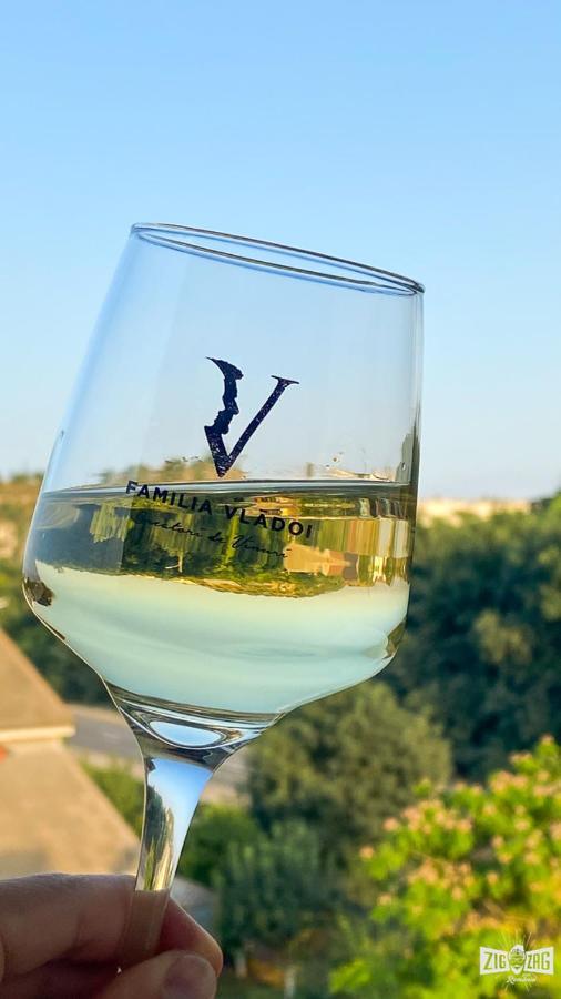 Casa Familia Vladoi Bed and Breakfast Murfatlar Εξωτερικό φωτογραφία